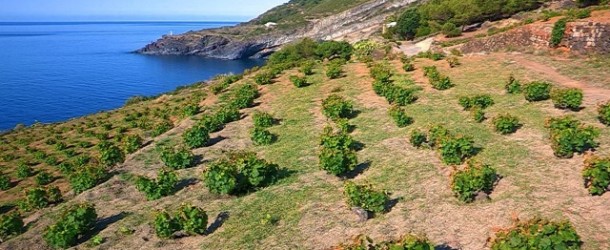 Pantelleria diventa Parco Nazionale, il primo in Sicilia