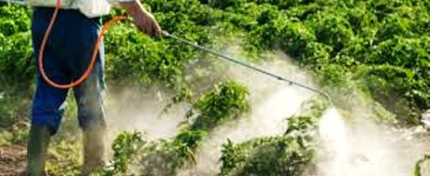Torna la Settimana internazionale contro i pesticidi