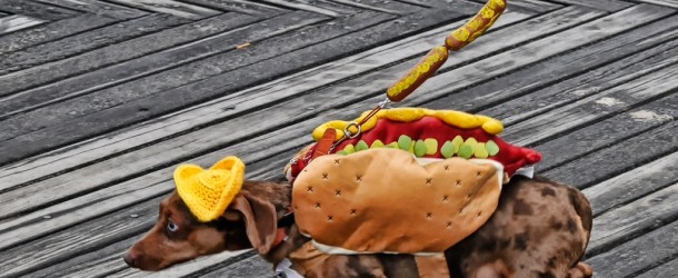 Hamburger-Hot dog-Pastrami, la sacra trinità del pret a manger newyorchese