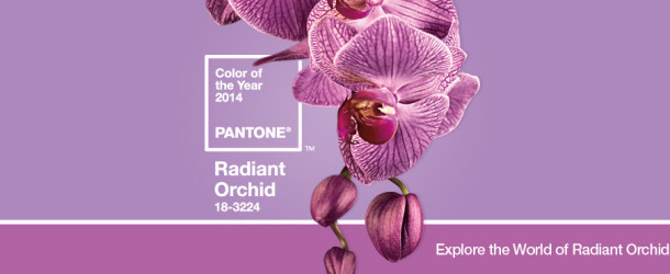 Tendenze, Radiant Orchid è il colore dell’anno