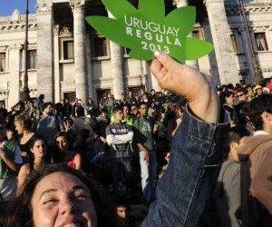 Uruguay, il Senato legalizza la Marijuana