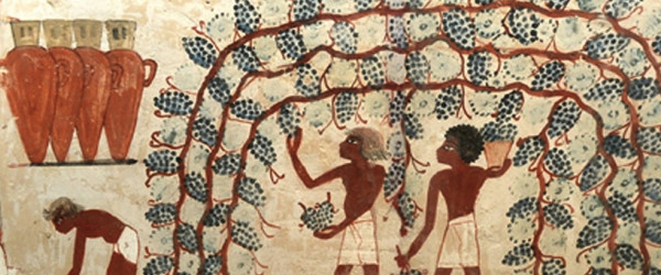 Alba, in mostra il vino nell’antico Egitto