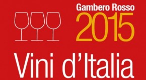 I Vini d’Italia 2015 secondo Gambero Rosso