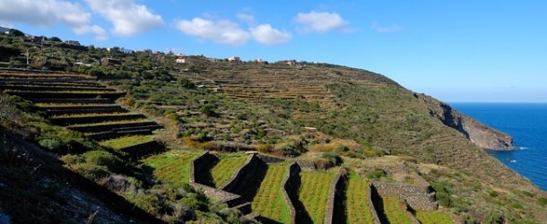 Pantelleria tra le migliori destinazioni di  “Turismo del Vino”  per PaesiOnLine.it