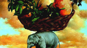 Libri, “Il gran circo Catania”