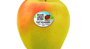 Vinci la Val Venosta: con una mela