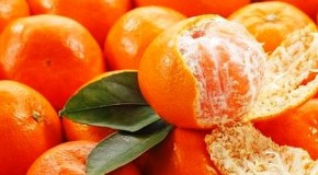 Agroalimentare, allarme Coldiretti: in calo produzione mandarini e arance in Sicilia