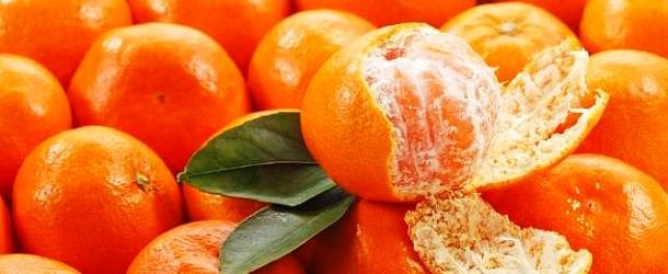 Agroalimentare, allarme Coldiretti: in calo produzione mandarini e arance in Sicilia