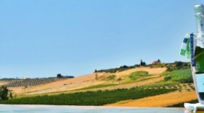 Estate in Sicilia tra vino e cultura partendo dal web col nuovo sito Planeta