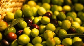 Agroalimentare, quale futuro per l’olivicoltura?
