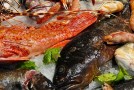 Sapori di mare, Fish Very Good per scoprire risorse ittiche in Friuli