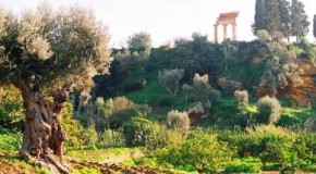 Inglesi alla scoperta della Sicilia, Summer School nei luoghi di Pirandello, Sciascia e Montalbano
