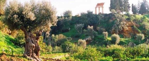 Inglesi alla scoperta della Sicilia, Summer School nei luoghi di Pirandello, Sciascia e Montalbano