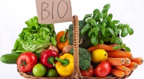 Agricoltura, sbloccati i fondi per imprese bio siciliane