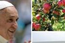 I sapori del Vaticano, in vendita i prodotti bio della Fattoria del Papa