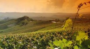 Asti, convegno regionale ONAV: “Ritroviamo nel vino il Patrimonio Unesco”