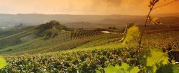 Asti, convegno regionale ONAV: “Ritroviamo nel vino il Patrimonio Unesco”