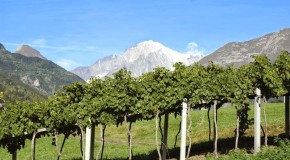 Vino, Cantine Aperte: la più alta sul Monte Bianco a 2.100 metri