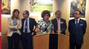 Olio d’oliva, celebrata Igp Sicilia in parlamento Ue