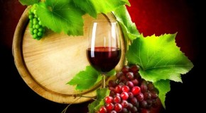 Vino: tutto pronto per “Radici del Sud”, festival dei vitigni autoctoni in Puglia