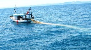 Stop a tempo per la pesca a strascico, nuovo decreto Mipaaf