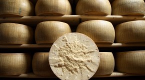 Il Parmigiano Reggiano eletto miglior formaggio del mondo