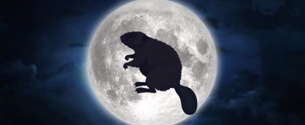Weekend: arriva la “Luna piena del castoro”